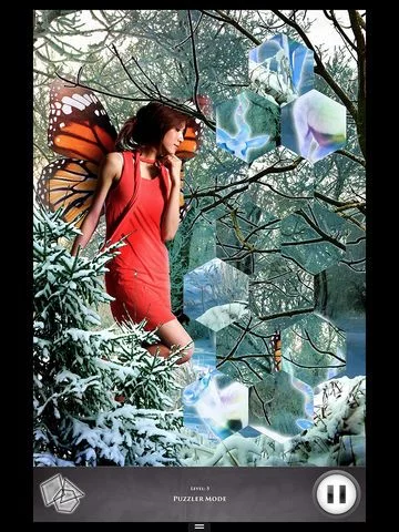 Изображение игры: Hidden Scenes - Frost Fairies