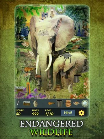 Изображение игры: Hidden Object - Endangered Wildlife