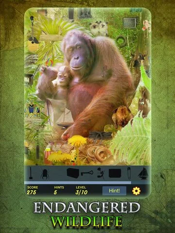 Изображение игры: Hidden Object - Endangered Wildlife