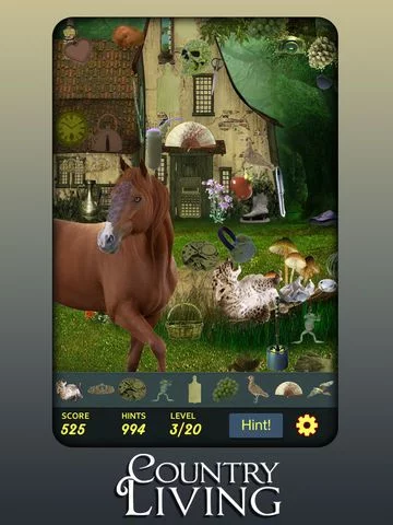 Изображение игры: Hidden Object - Country Living