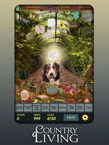 Изображение игры: Hidden Object - Country Living