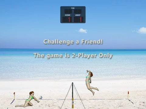 Изображение игры: Volleyball To Go