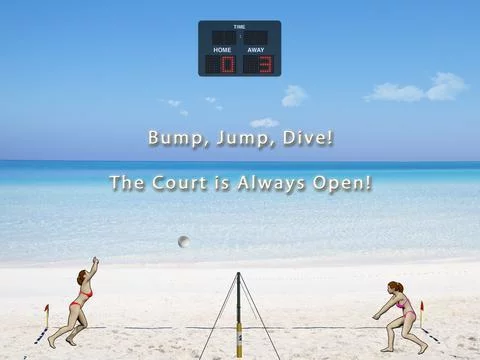 Изображение игры: Volleyball To Go