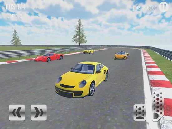 Изображение игры: Car Racing Cup 3D