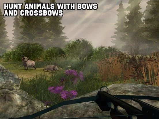 Изображение игры: Archery Animal Hunting Simulator 3D Full