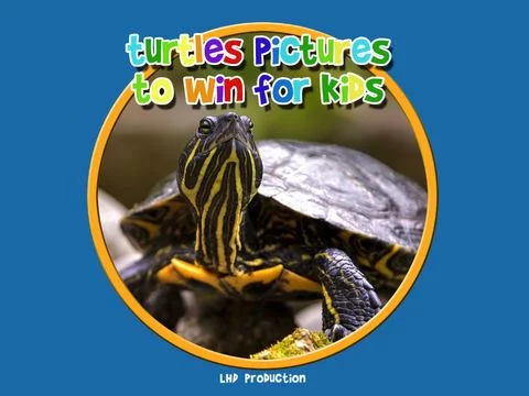 Изображение игры: turtle pictures to win for kids - free