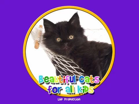 Изображение игры: beautiful cats for all kids - free game
