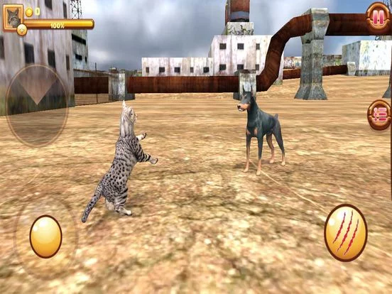 Изображение игры: Homeless Cat Simulator