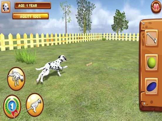 Изображение игры: Play with your Dog: Dalmatian