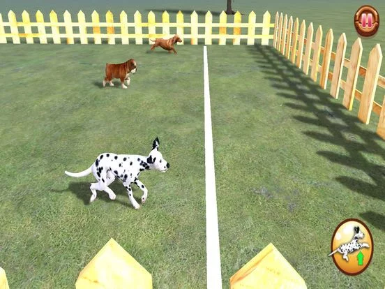 Изображение игры: Play with your Dog: Dalmatian