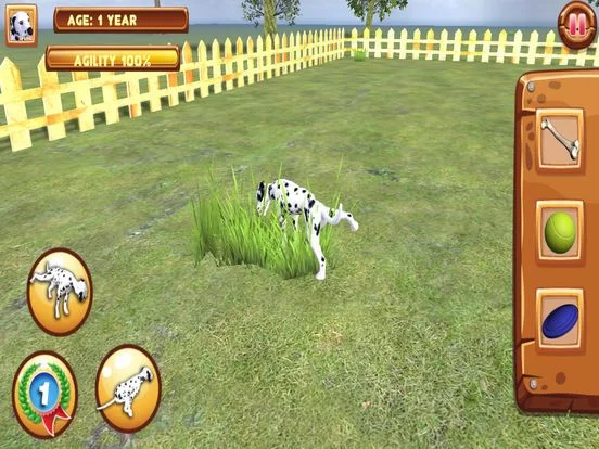 Изображение игры: Play with your Dog: Dalmatian