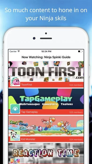 Изображение игры: Ninja Video Guide