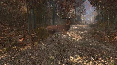 Изображение игры: VR Feel the Nature 3D