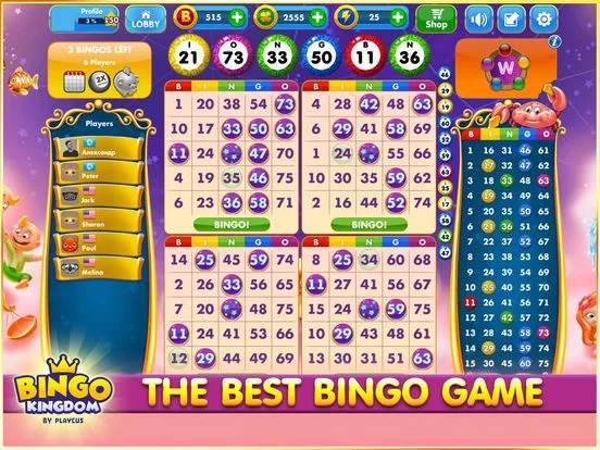 Изображение игры: Bingo Kingdom - Bingo Live