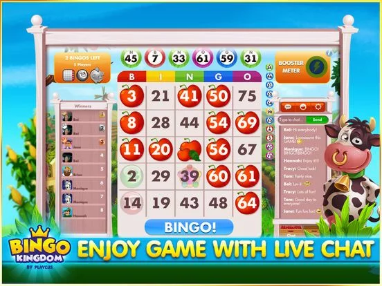 Изображение игры: Bingo Kingdom - Bingo Live