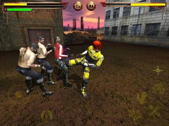 Изображение игры: Fighting Tiger