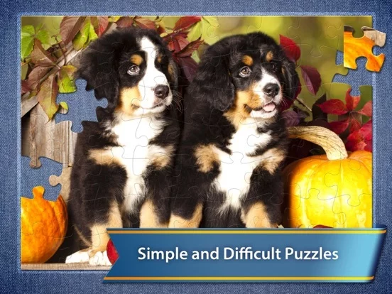 Изображение игры: Jigsaw Puzzle Club