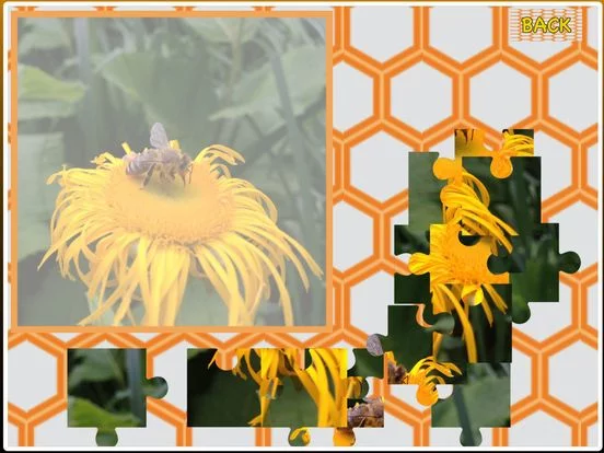 Изображение игры: Funny jigsaw puzzle - With cute photos!