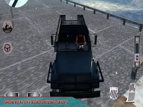 Изображение игры: Truck Transport Driving