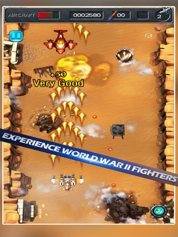 Изображение игры: Shooting Flying Wings