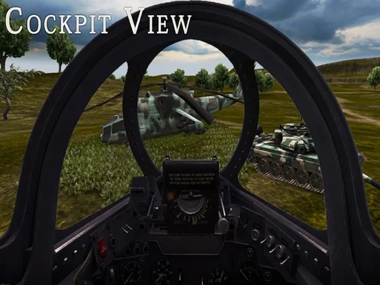 Изображение игры: F-22 Raptor - Combat Flight Simulator of Infinite Airplane Hunter