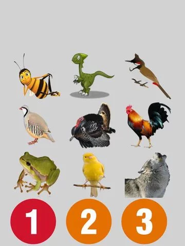 Изображение игры: Several Animal Sounds