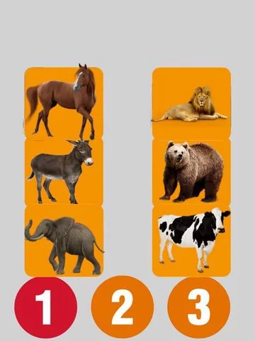 Изображение игры: Several Animal Sounds