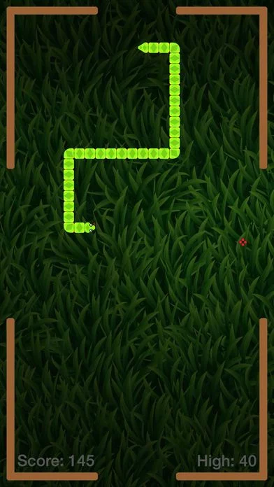 Изображение игры: Wrist Snake