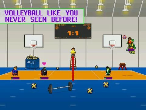 Изображение игры: Extreme Beach Volley