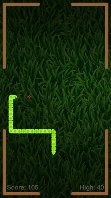 Изображение игры: Wrist Snake