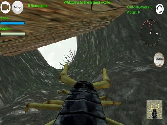 Изображение игры: Scorpion Insect Simulator
