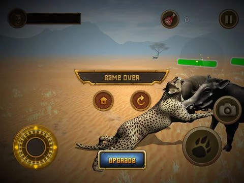 Изображение игры: Cheetah Chase