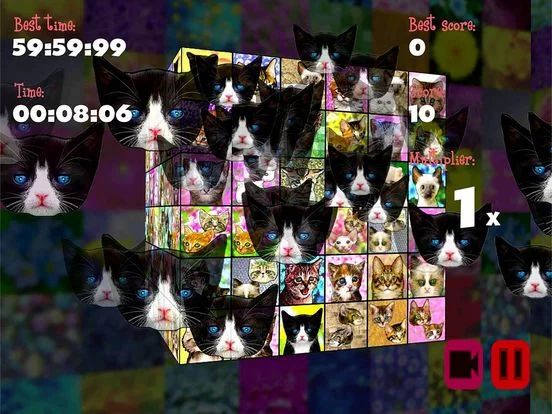 Изображение игры: Kittenistry
