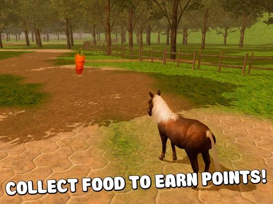 Изображение игры: Pony Horse Riding 3D