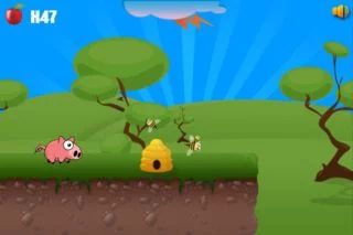Изображение игры: Pig Run Run