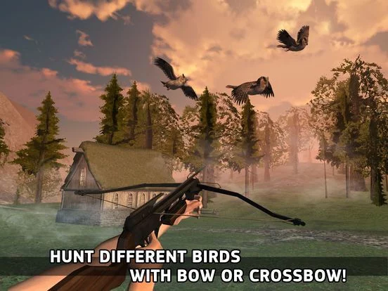 Изображение игры: Bowman Simulator: Birds Hunting Master