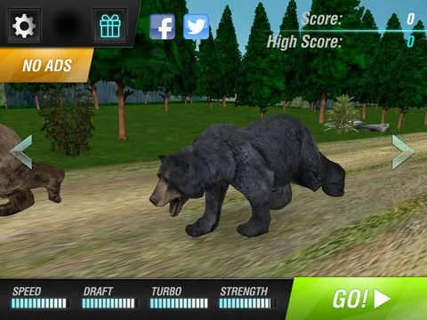 Изображение игры: Bear Simulator 2016 . Wild Bears Simulation Games For Kids Free