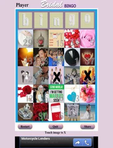 Изображение игры: Bridal Bingo