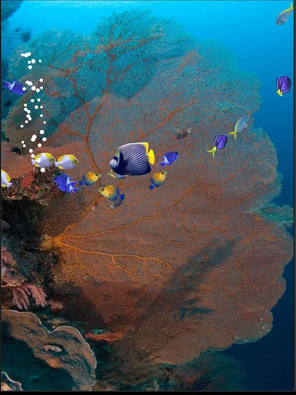 Изображение игры: Fishies
