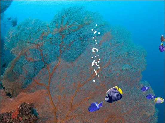 Изображение игры: Fishies
