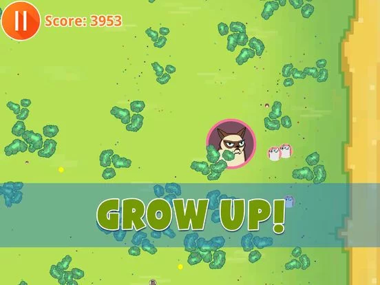 Изображение игры: Cat.io