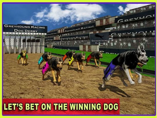 Изображение игры: Race Dog Racer Simulator 2016 – Virtual Racing Championship with Real Police Dogs