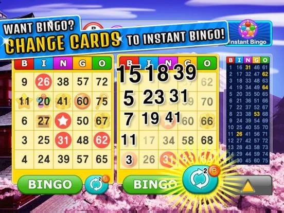 Изображение игры: Bingo Craze!