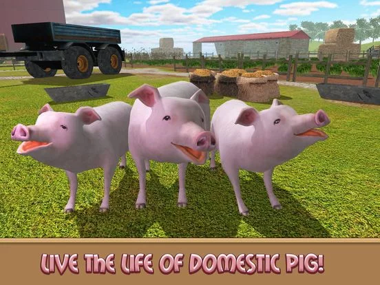 Изображение игры: Life of House Pig Simulator