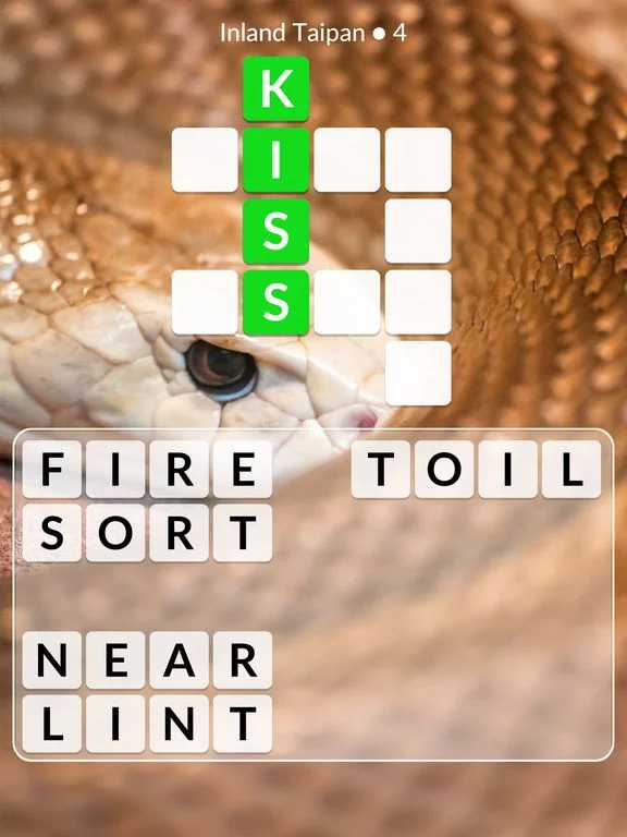 Изображение игры: Word Wild
