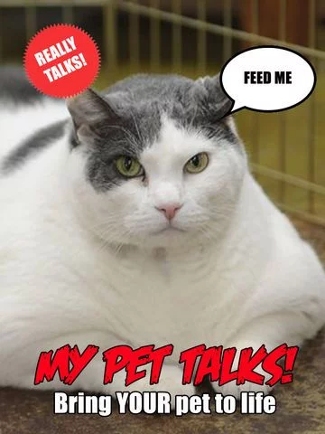 Изображение игры: My Pet Talks!