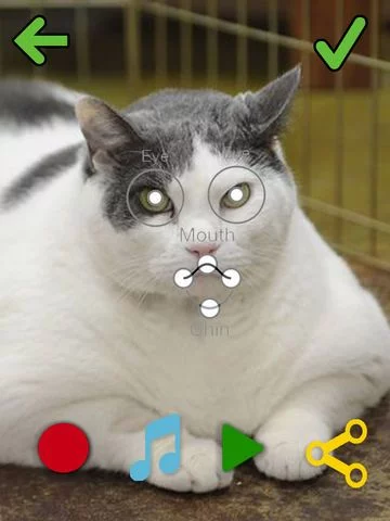 Изображение игры: My Pet Talks!