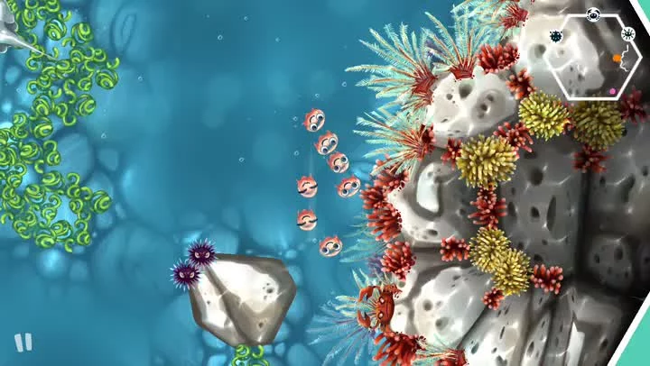 Изображение игры: Jelly Reef