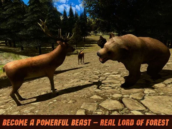 Изображение игры: Animal Survival: Wild Bear Simulator 3D