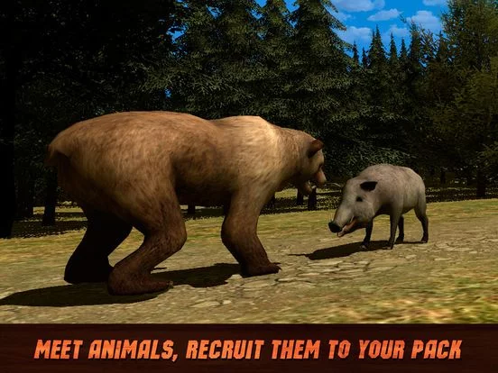Изображение игры: Animal Survival: Wild Bear Simulator 3D
